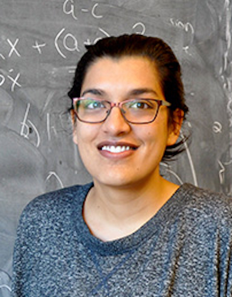 Professor Ila Varma