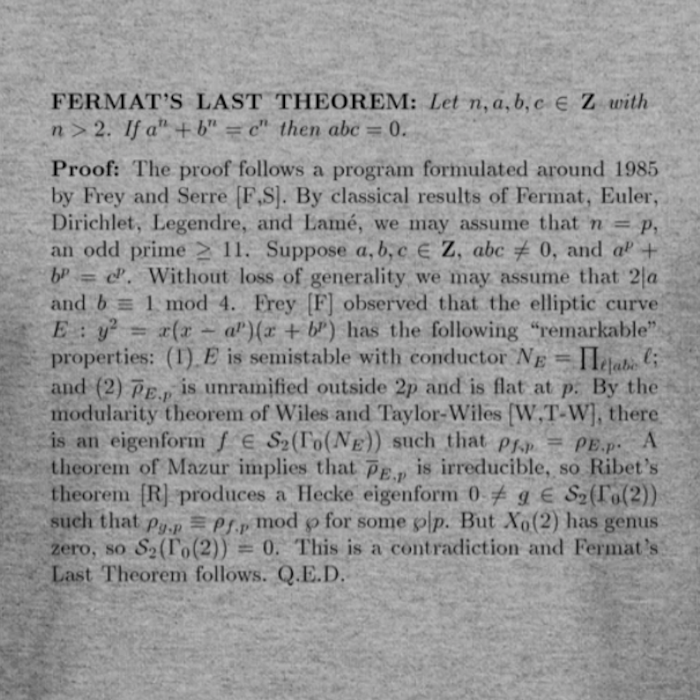 Fermat T-Shirts